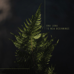 大精鱼官网进入
